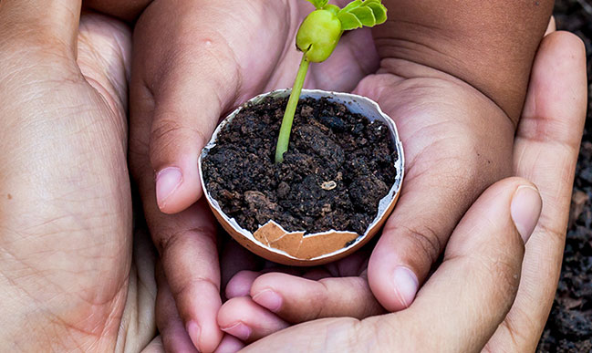 Symrise Sustainability