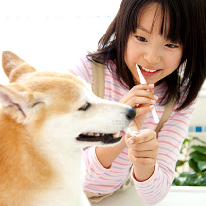A young girl brushes her teeth and smiles at a dog.