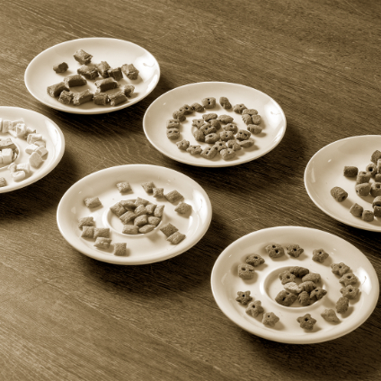 Pet food in small plates
