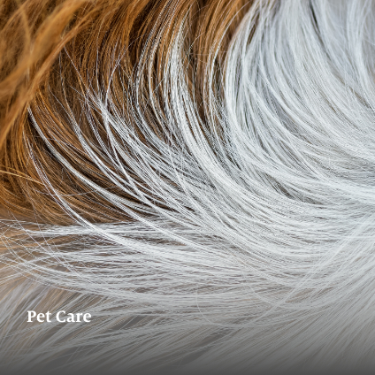 Pet Care