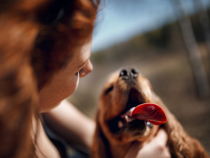 The rise of 'pet parenting'