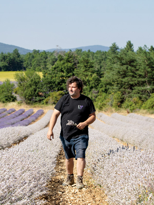 Man in white lavender field