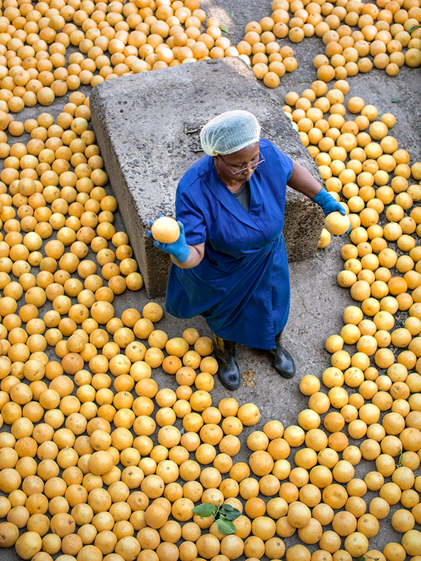 woman in the middle of citrus fruits