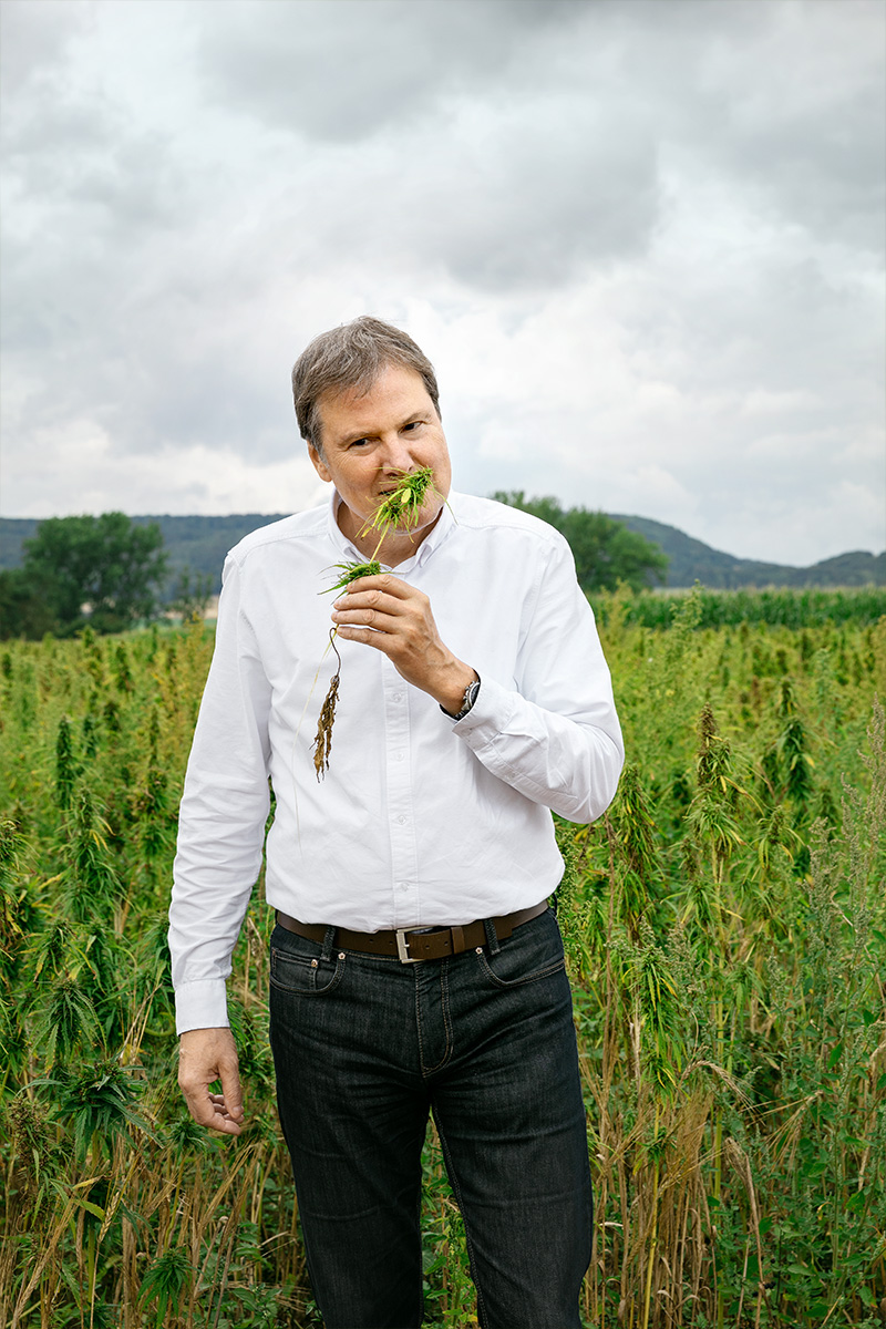 Symrise CEO Dr. Heinz-Jürgen Bertram mit einem Hanfpflanze in einem Feld