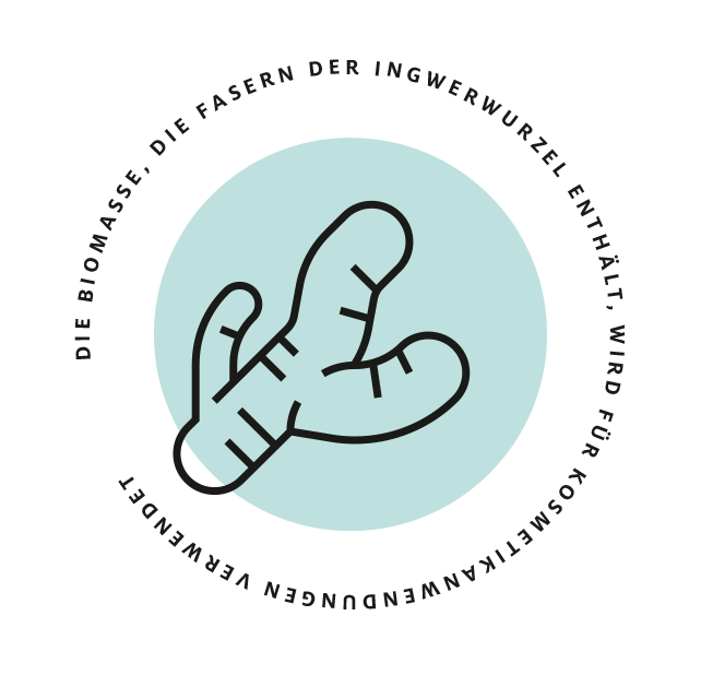 Die Biomasse, die Fasern der Ingwerwurzel enthälft, wird für Kosmetikanwendungen verwendet Die Biomasse, die Fasern der Ingwerwurzel enthälft, wird für Kosmetikanwendungen verwendet