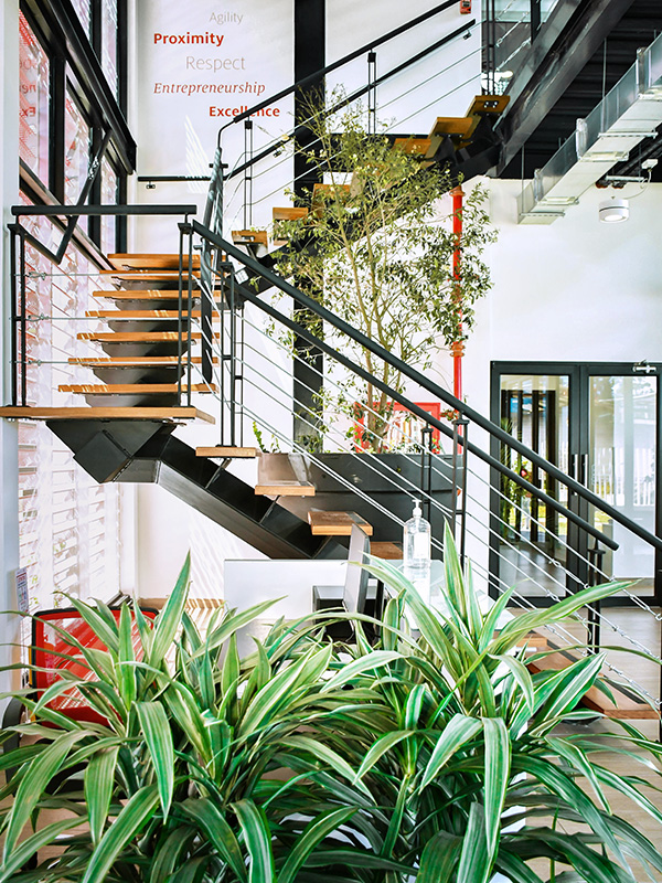 stairs in industrial style and green plants