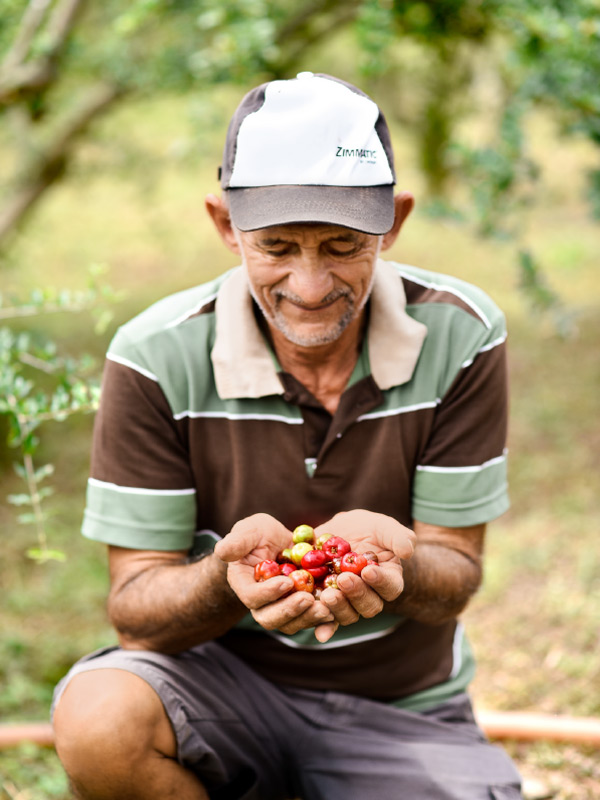 Mann zeigt Acerola-Kirschen