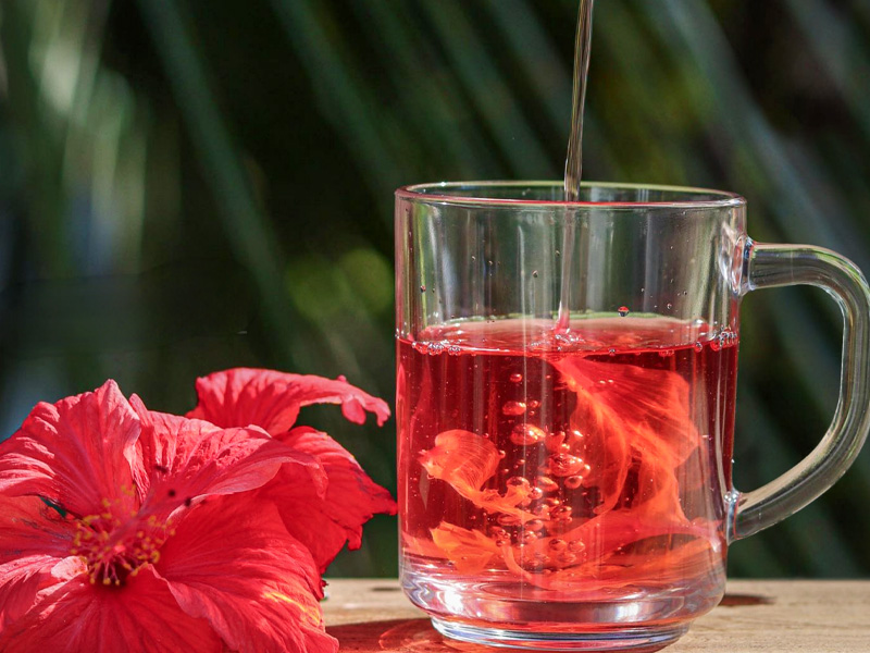 hibiscus flower infusion
