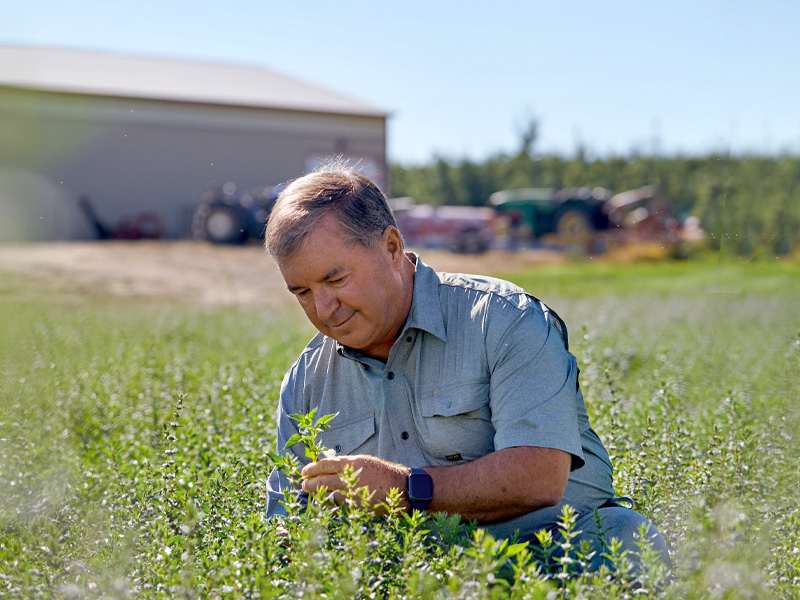 Terry Cochran, Head of Norwest Ingredients