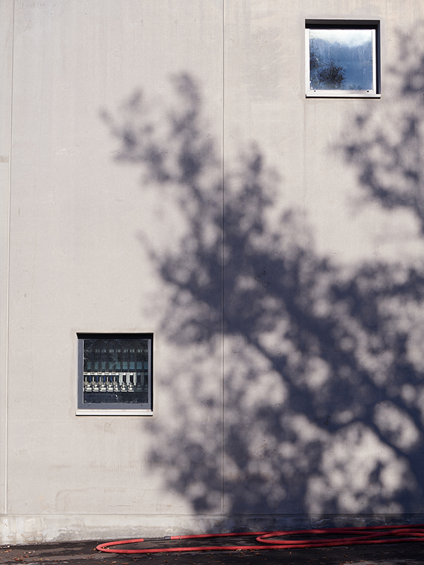 Wall with two windows