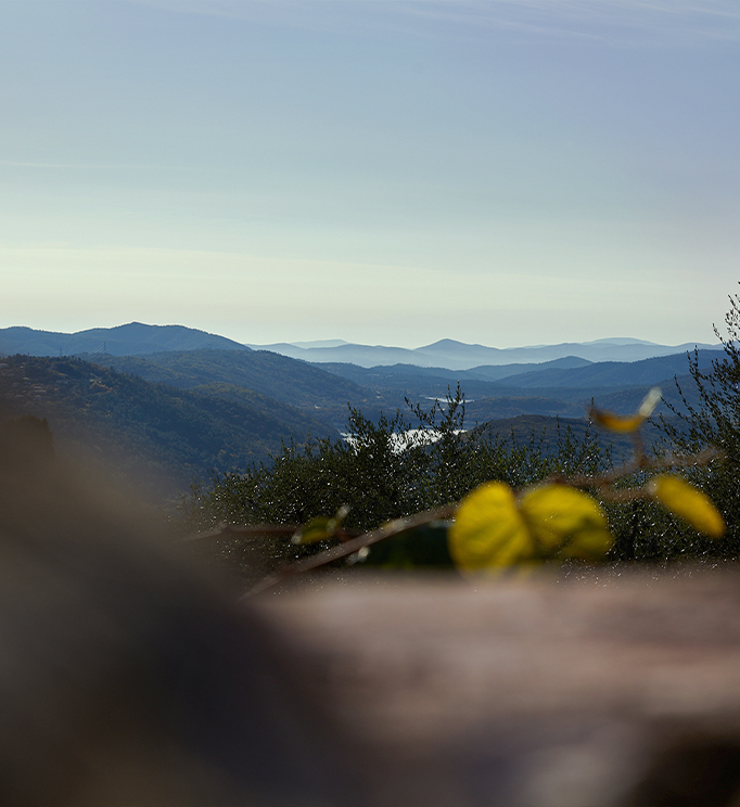 Landschaft mit Bergen