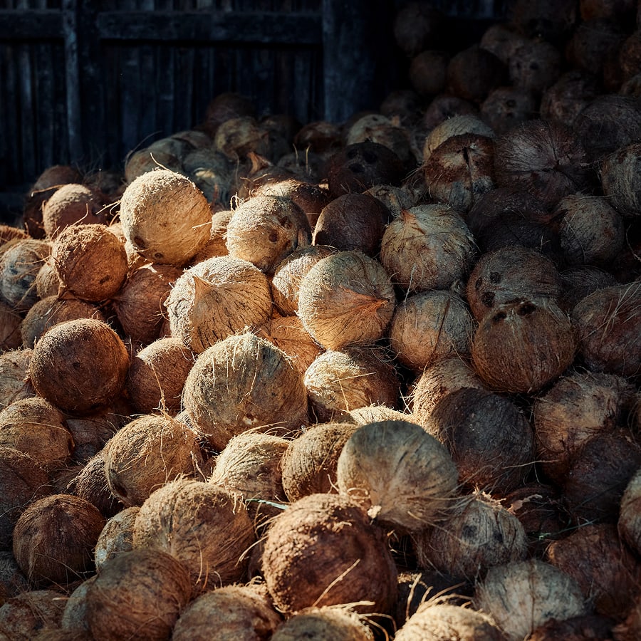 Großer Stapel geernteter Kokosnüsse liegt in einem dunklen Lagerraum, wobei Sonnenlicht einzelne raue Schalen hervorhebt 