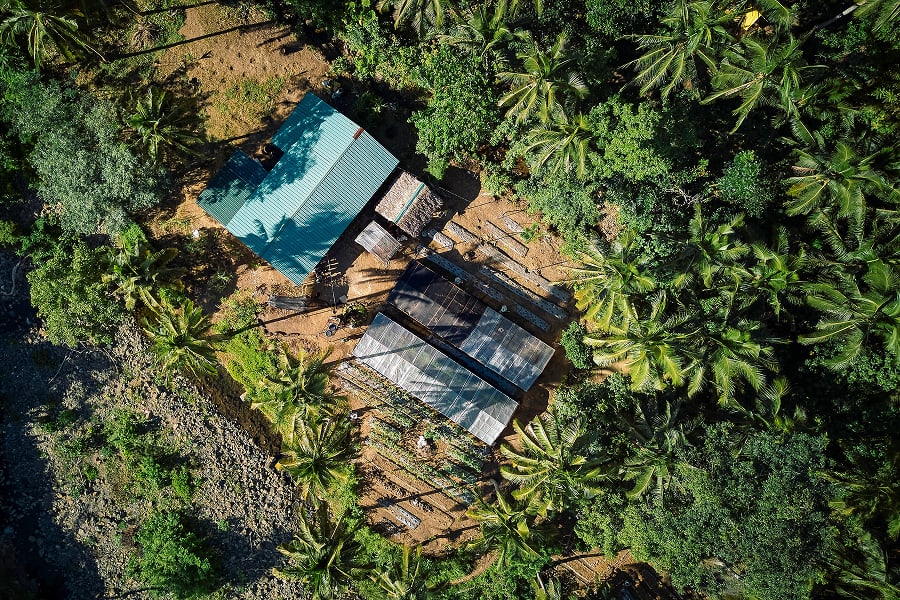 Luftaufnahme eines kleinen Bauernhofs mit Gewächshäusern und grünen Palmen, eingebettet in dicht bewachsener Landschaft 