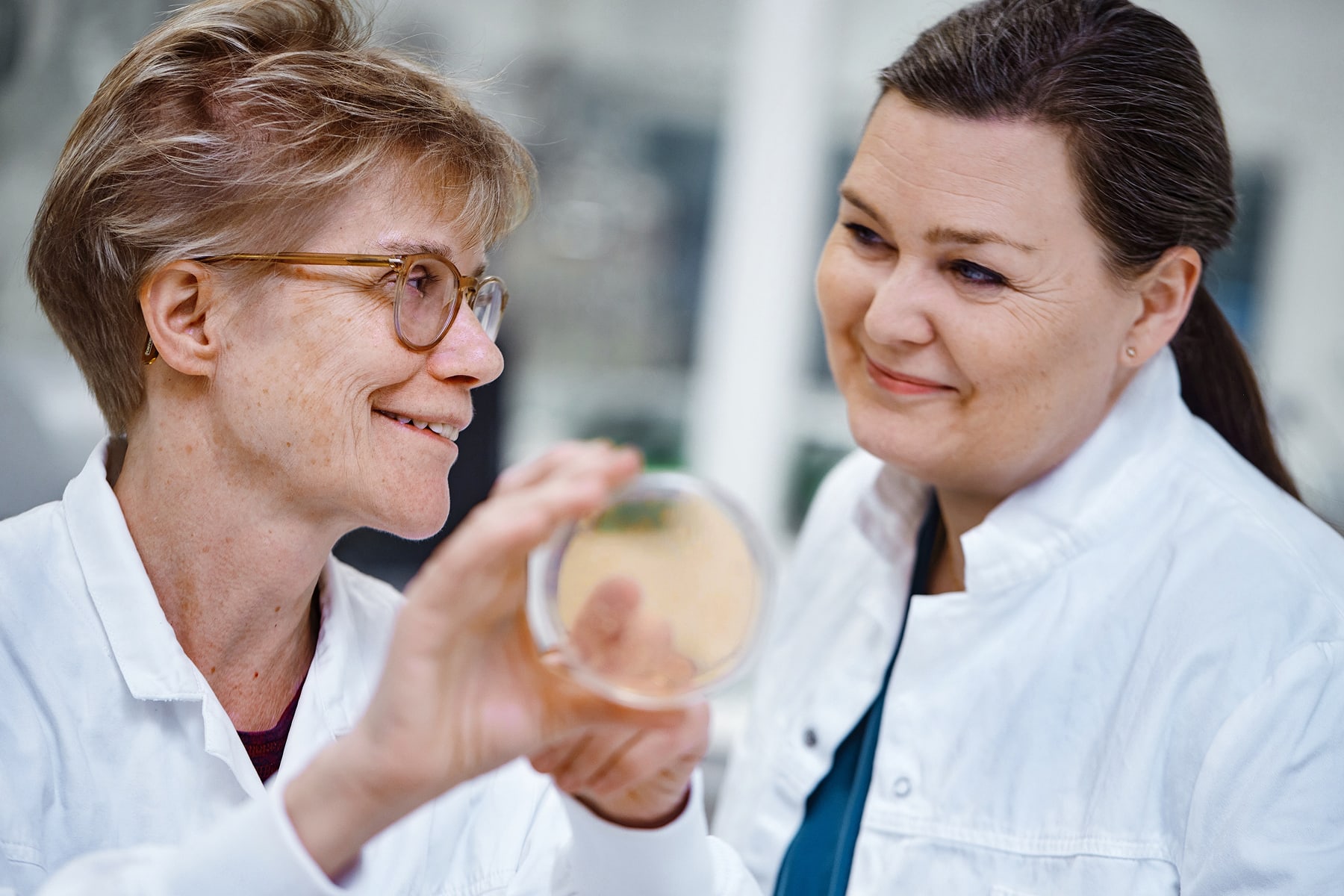 Zwei Forschende im weißen Kittel betrachten gemeinsam eine Petrischale im Labor und arbeiten an probiotischer Analyse