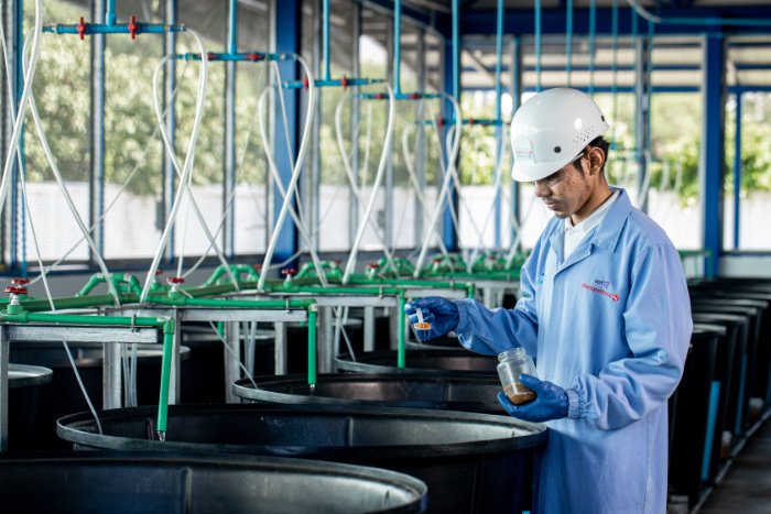 A man in a helmet checks the quality of nutrients.