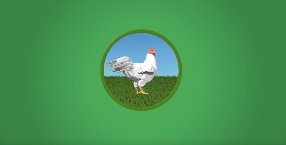 Chicken Full-stream valorization video