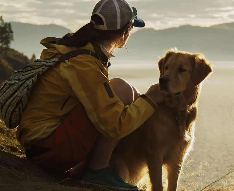 A young woman is petting a dog and looking into the distance.