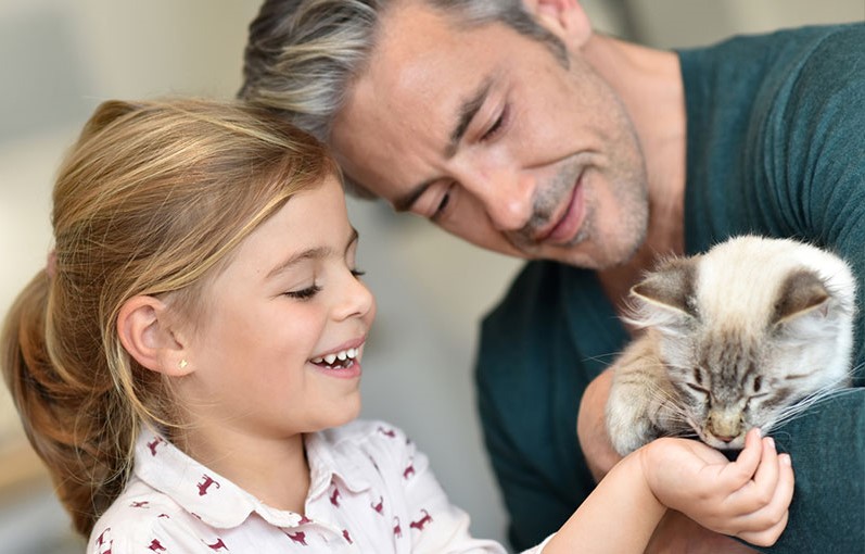 Pet food palatability A man holds a cat in his arms, which is being stroked by a little girl.