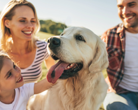 Pflegeprodukte für Hunde und Katzen