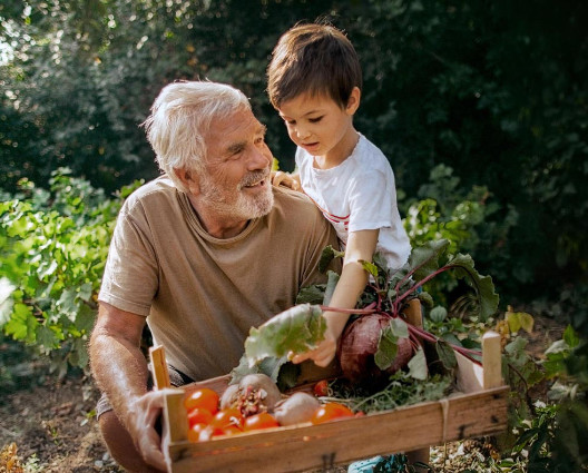 Man and boy in a garden with a crate of vegetables